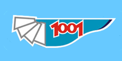 1001